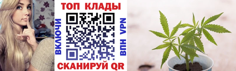 Виды наркоты Короча ГАШ  Амфетамин  APVP  hydra онион  Меф  Кокаин  МАРИХУАНА 