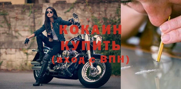 молекула духа Бугульма