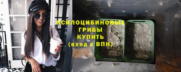 молекула духа Бугульма